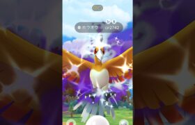 【ポケモンGO】シャドウホウオウ！高個体＆色違いチャレンジ！！#nintendo #pokemon #pokemongo #ポケモン #ポケモンgo #色違い #ホウオウ #レイド #ポケモンsv