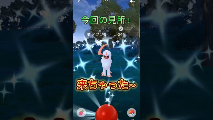 【ポケモンGO】「来ちゃった～」#pokemon #pokemongo #ポケモン