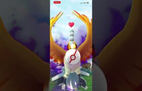 【ポケモンGO】シャドウレイド　ホウオウ色違いゲット！#shorts