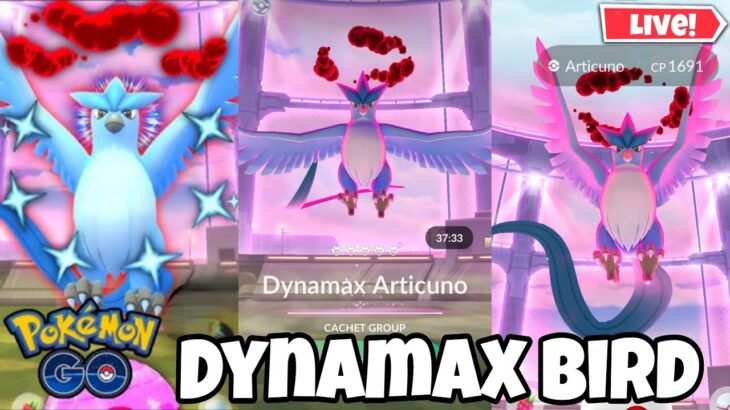 Hunting✨️Shiny Dynamax Articuno Raid In #PokemonGo