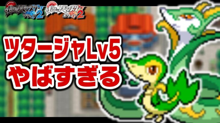 ツタージャLv5が最初のポケモンだったら1匹で殿堂入りできるのか？【1匹縛り旅/ジャローダ/ジャノビー】