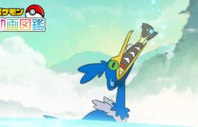 【公式】「ポケモン動画図鑑」No.0845 ウッウ