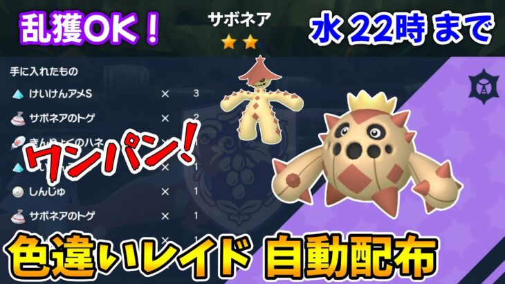 乱獲OK！サボネア色違いレイド自動配布会！【ポケモンSV】