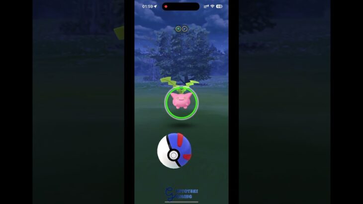 Pokemon Go – gintotski Catching 2 Star Hoppip