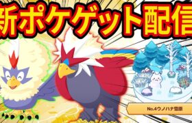 新ポケモン「ワシボン/ウォーグル」をゲットするスキルウィーク睡眠リサーチ配信【Pokémon Sleep】【ポケスリ】【ポケモンスリープ】