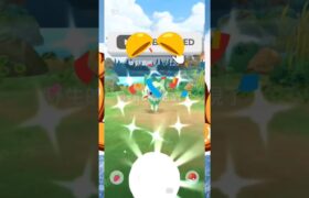 Pokémon go ポケモンgo新葉喵色違#pokemon #pokemongo #pokémon #pokémongo #寶可夢 #遊戲 #shinypokemon #ポケモンgo