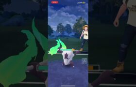 最近育成したやつでSL #ポケモンgo #gbl #shorts