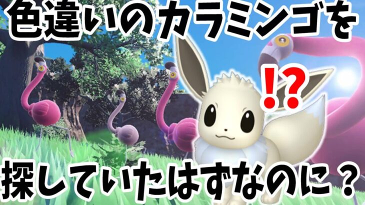 【ポケモンSV】色違いのカラミンゴを探そう！簡単にできる色違い厳選！【ポケモンスカーレットバイオレット・ゼロの秘宝】