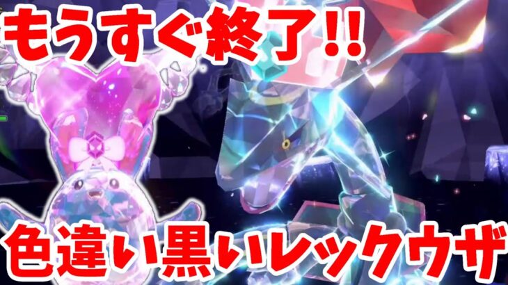 【ポケモンSV】もうすぐ終了！特別な色違いの伝説「黒いレックウザ」プレゼントレイド！【ポケモンスカーレットバイオレット・ゼロの秘宝】