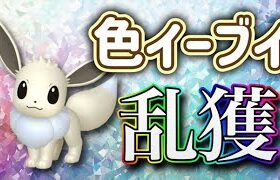 みんなに配布するためのイーブイ乱獲【ポケモンSV 実況ライブ配信中】#ポケモンSV #配布 #色違い #shorts