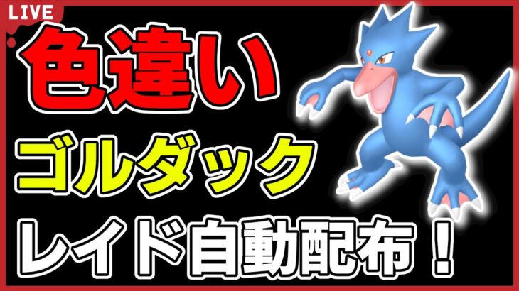 【ワンパン最速】色違いゴルダックレイド自動配布！【ポケモンSV】#2