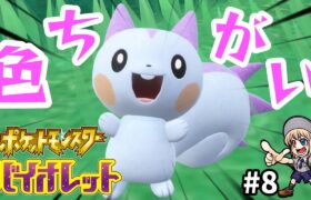 【ポケモンSV】#8  色違い２匹目？！ダンバッジも全部ゲットしたゾ！ポケモン初心者が行くバイオレット！！【完全初見】