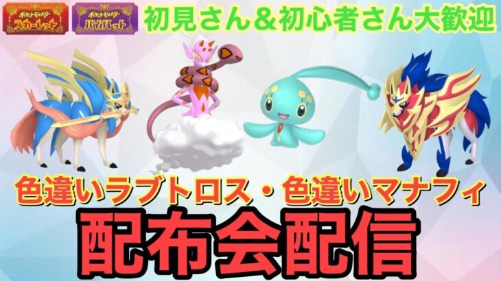 【ポケモンSV】色違いラブトロス・色違いマナフィ配布配信　ザマゼンタ＆ザシアン伝説大量無償配布！誰でも参加OK　初見さん大歓迎　 #shorts