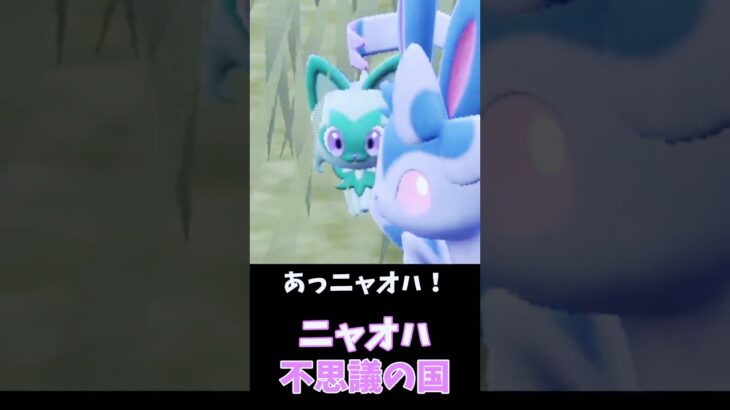 ニャオハ、うさぎに連れられて【ポケモンSV】　#shorts