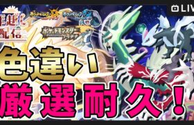 【ポケモンUSUM・プラチナ】年末年始！色違い厳選耐久 1/3(金)まで色違い伝説をゲットし続ける！【ポケットモンスター ウルトラサンムーン・プラチナ】