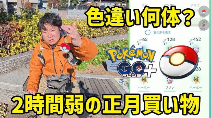 【VLOG】2時間弱の正月買い物、ゴープラプラの自動捕獲で色違い何体？【ポケモンGO】