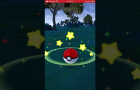 色違いクレベース　#ポケモン#ポケモンgo #ポケモン色違い#色違い#氷