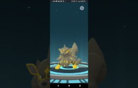 色違いの､ガーディから､ウィンディに進化しました‼️#ポケモンgo #色違いポケモン