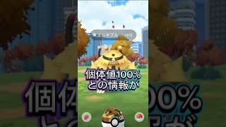 ワイルドエリア振り返り#ポケモンgo #イベント #ポケモン