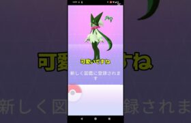 #ポケモン#ポケモンgo#進化 初心者ですが頑張って見ました