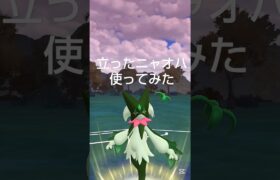 【立ったニャオハ使ってみた】 #マスカーニャ #ポケモンgo