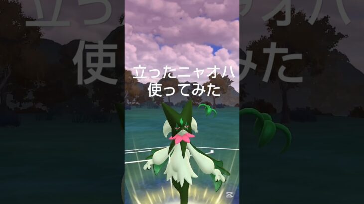 【立ったニャオハ使ってみた】 #マスカーニャ #ポケモンgo