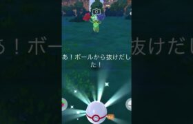 ロゼリア捕獲チャレンジ！ #ポケモンgo