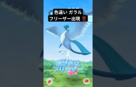 色違いのガラルフリーザー出現‼️ #ポケモンgo  #pokemongo #ガラル三鳥