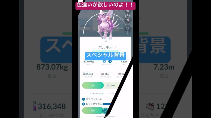 色違いオリジンパルキアもう出ないのか！？#ポケモン #ポケモンgo #shortsfeed #shorts #short #pokemon #pokemongo