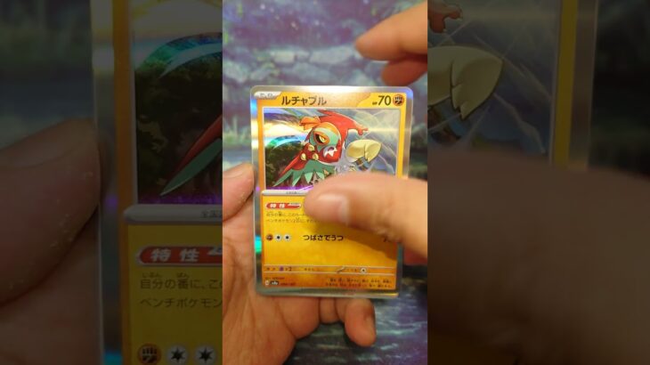 テラスタルフェス #ポケモンカード  #ポケモン  #ポケカ #ポケポケ  #ポケカ開封  #pokemon #pokemontcg #テラスタルフェス