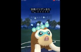 マンムーがバグっています？！ #shorts #ポケモンgo