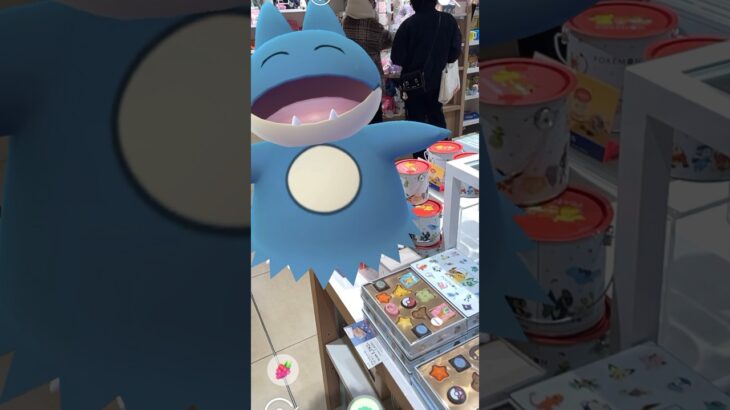 ゴンベ、ポケモンチョコに夢中！#shorts #pokemon #ポケモンgo好きと繋がりたい #バレンタイン