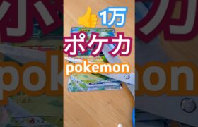 #ポケカ#ポケモン #ポケットカード #ポケカを切る #ポケモカード #ポケモンsv #pokemoncards #pokemon #pokemongo #shorts