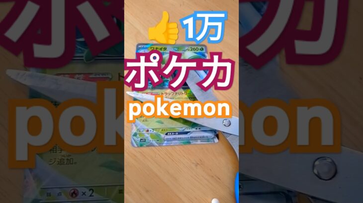 #ポケカ#ポケモン #ポケットカード #ポケカを切る #ポケモカード #ポケモンsv #pokemoncards #pokemon #pokemongo #shorts