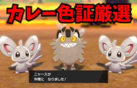 【雑談】今年もカレー作るで！【ポケモン剣盾】