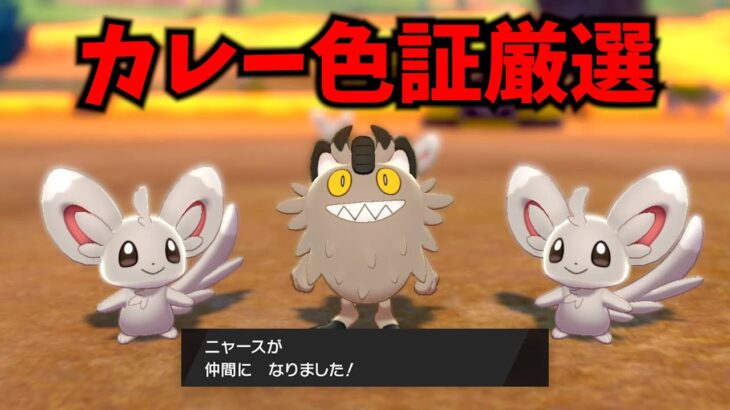 【雑談】今年もカレー作るで！【ポケモン剣盾】