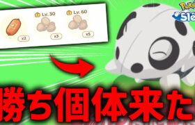 【またも神回】ガチで求めてた個体！ココドラ厳選終了か？！【ポケモンスリープ】