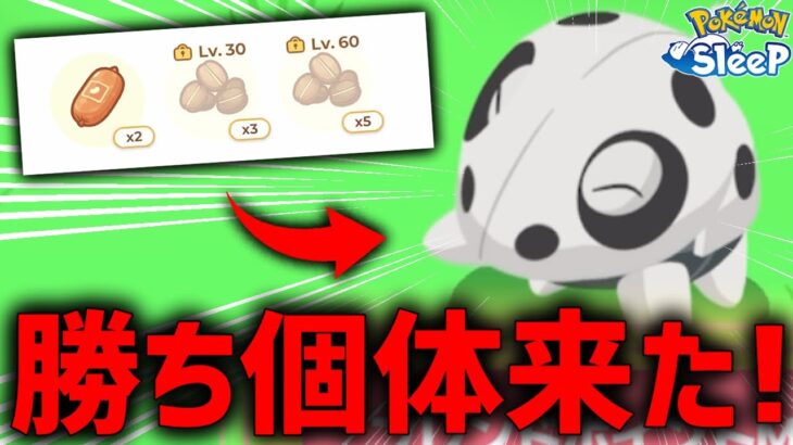 【またも神回】ガチで求めてた個体！ココドラ厳選終了か？！【ポケモンスリープ】