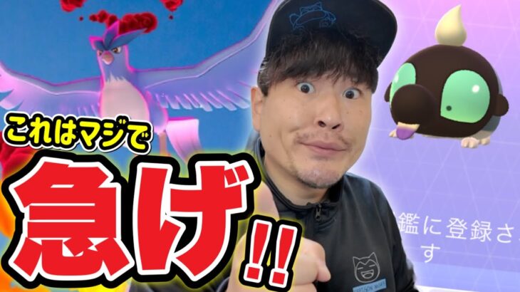 急げ！緊急！！突然きたタイムチャレンジ！あの伝説ポケモンに備えよ！