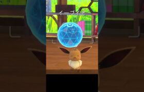 可愛いイーブイ　#ポケモンスナップ #ポケモン #イーブイ