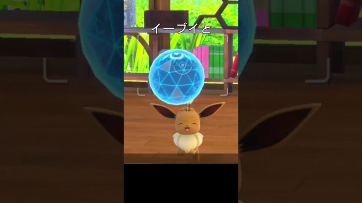 可愛いイーブイ　#ポケモンスナップ #ポケモン #イーブイ