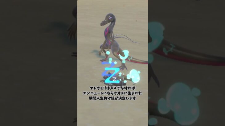 【ポケモン紹介】ヤトウモリの人生が博打すぎる#ポケモン #雑学