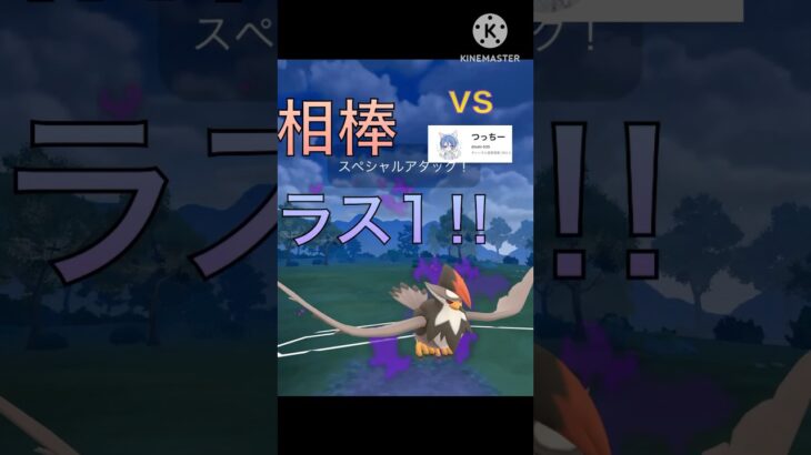 ラスト1の鬼‼︎ シールドアドありのタイマン最強ムクホーク‼︎ #ポケモンgo #goバトル #goバトルリーグ #gbl