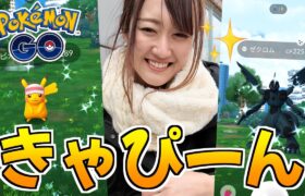 ゼクロム背景100狙い!! と、思ったらサプライズでピカコスが4種登場!!【ポケモンGO】