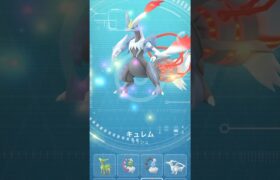 個体値100%ホワイトキュレム合体#ポケモンgo #pokémongo #gotour #台湾#ホワイトキュレム #ブラックキュレム#はっちゃんねる #はつだ #ポケモン