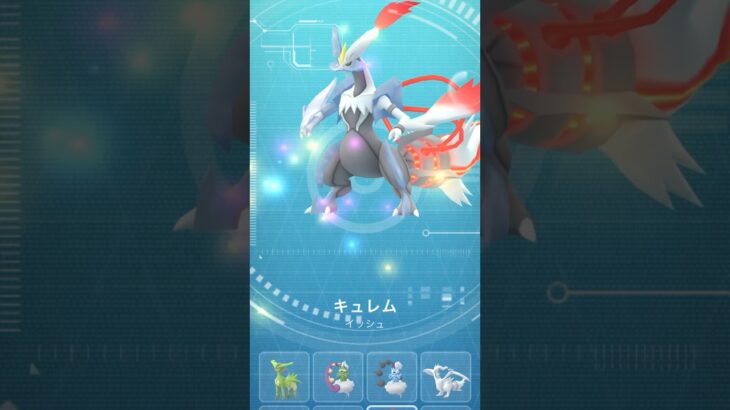 個体値100%ホワイトキュレム合体#ポケモンgo #pokémongo #gotour #台湾#ホワイトキュレム #ブラックキュレム#はっちゃんねる #はつだ #ポケモン