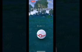 個体値100%を狙ってディアルガレイド！　初心者part119 【ポケモンGO】#ポケモンgo #ポケモン #pokemon #pokemongo #ディアルガ #shorts