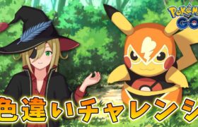 マスピカ色違いチャレンジ！！！ラブラブカップ！ #1265【ポケモンGO】