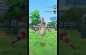 マイマイ／かぶりつきポケモンレポート (3/3)【ポケモンGO】