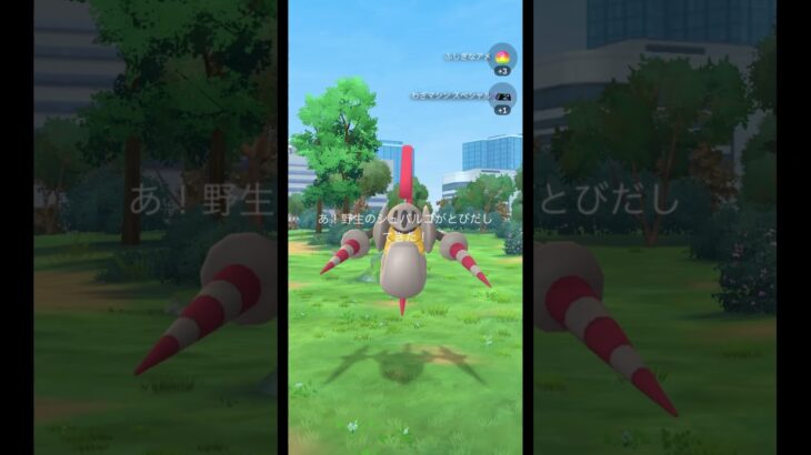 マイマイ／かぶりつきポケモンレポート (3/3)【ポケモンGO】